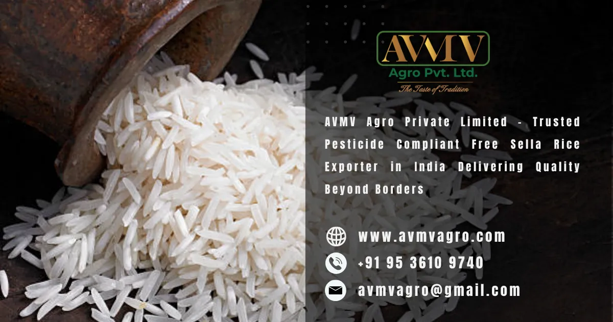 AVMV Agro Private Limited – Trusted Pesticide Compliant Free Sella Rice Exporter in India Delivering Quality Beyond Borders