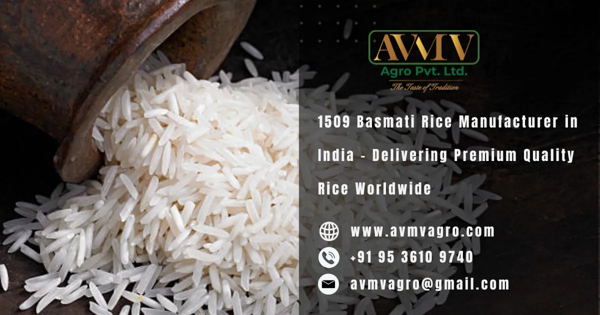1509 Basmati Rice Manufacturer in India – Delivering Premium Quality Rice Worldwide