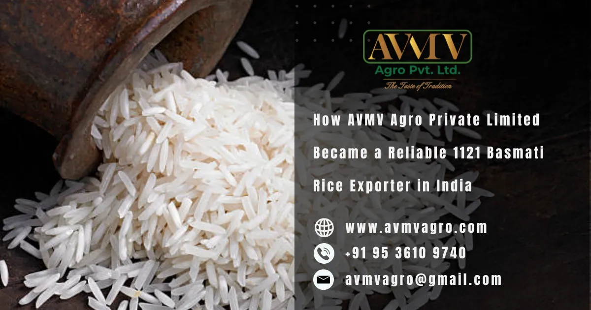 How AVMV Agro Private Limited Became a Reliable 1121 Basmati Rice Exporter in India